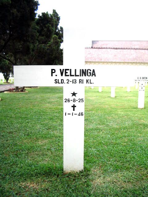 vellinga.p.2005.jpg
