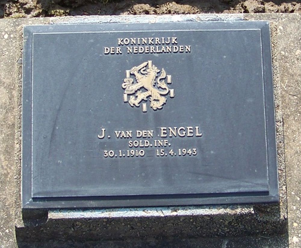 5. D. 35.JPG
