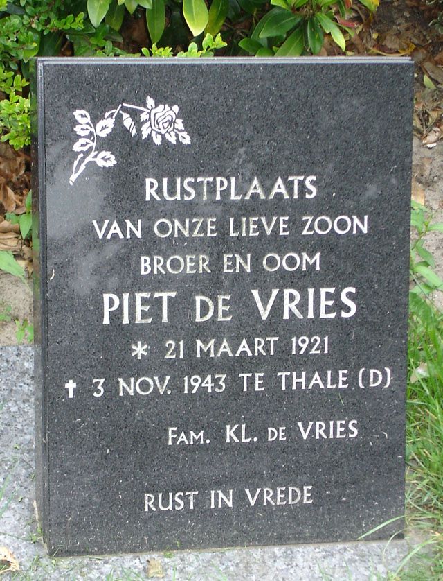 vries.p.de.2008.jpg