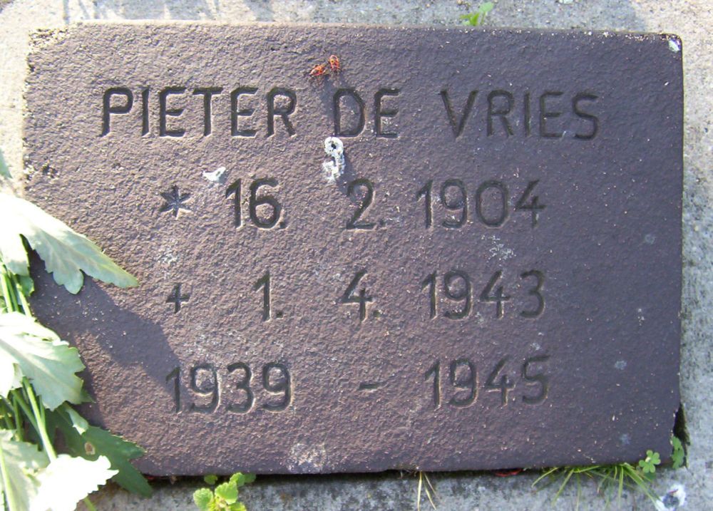 vries.p.de.2010.jpg