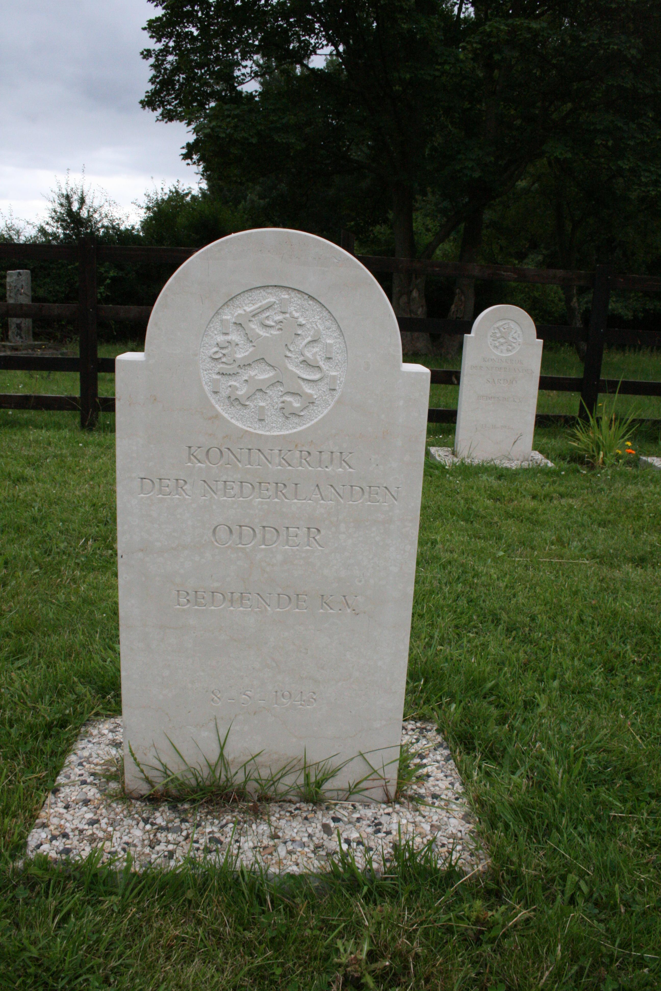 1564383072_26285.JPG
