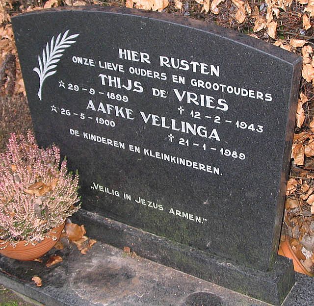 vries.t.de.2006.jpg