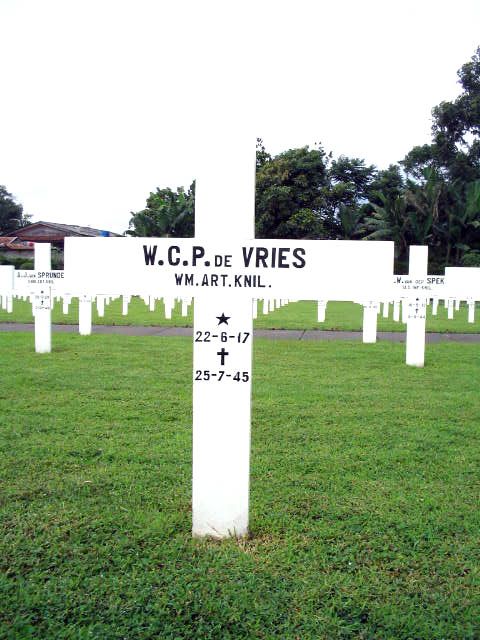 vries.de.w.c.p.2005.jpg