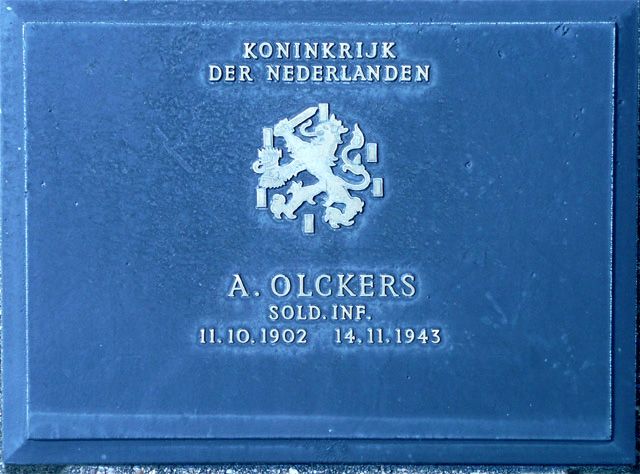 Olckers.A.2008.jpg