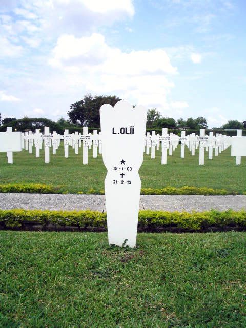 olii.l.2005.jpg