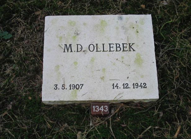 M.D.Ollebek.jpg