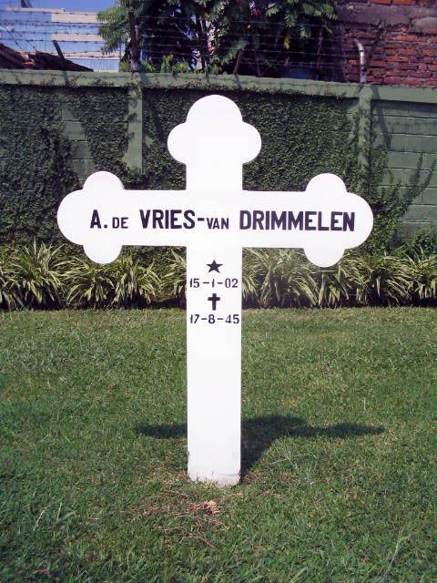 vries.de.drimmelen.van.a.2005.jpg