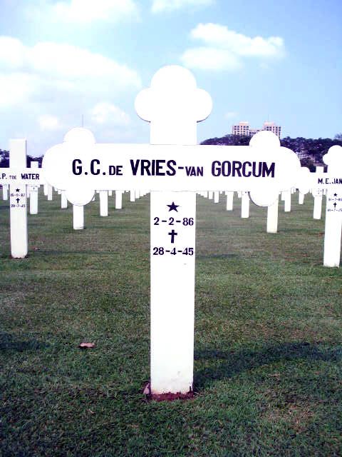 vries.de.gorcum.van.g.c.2005.jpg