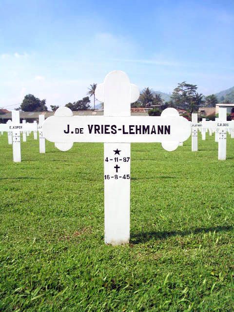 vries.de.lehmann.j.2005.jpg