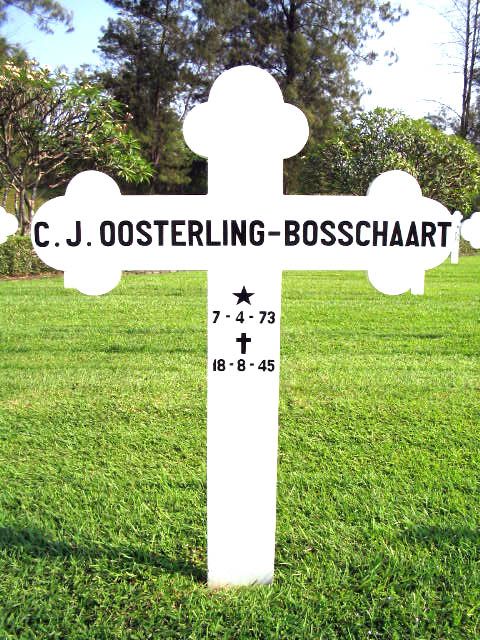 oosterling.bosschaart.c.j.2004.jpg.JPG