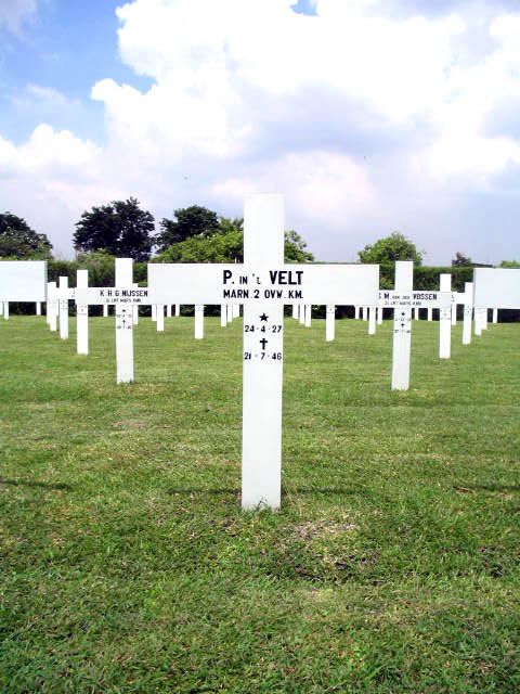 velt.in.t.p.2005.jpg