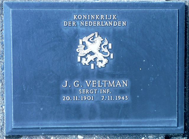 Veltman.J.G.2008.jpg