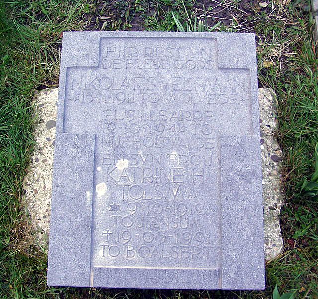 N. Veltman .jpg