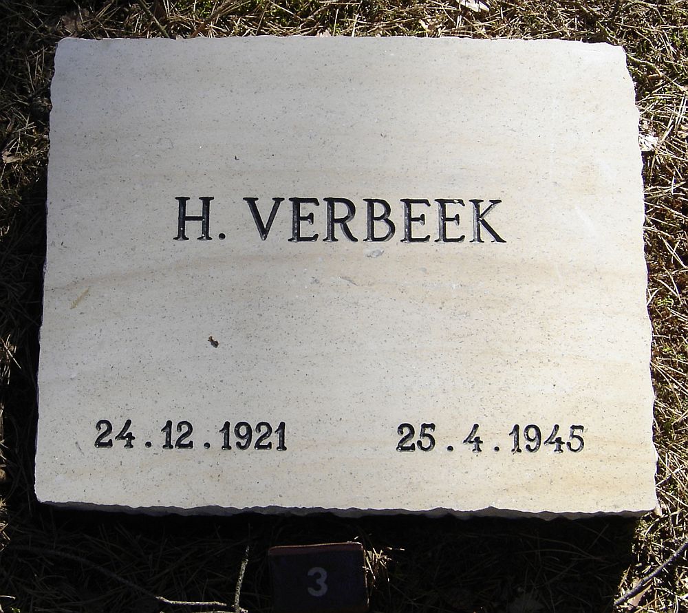 verbeek.h.2010.jpg