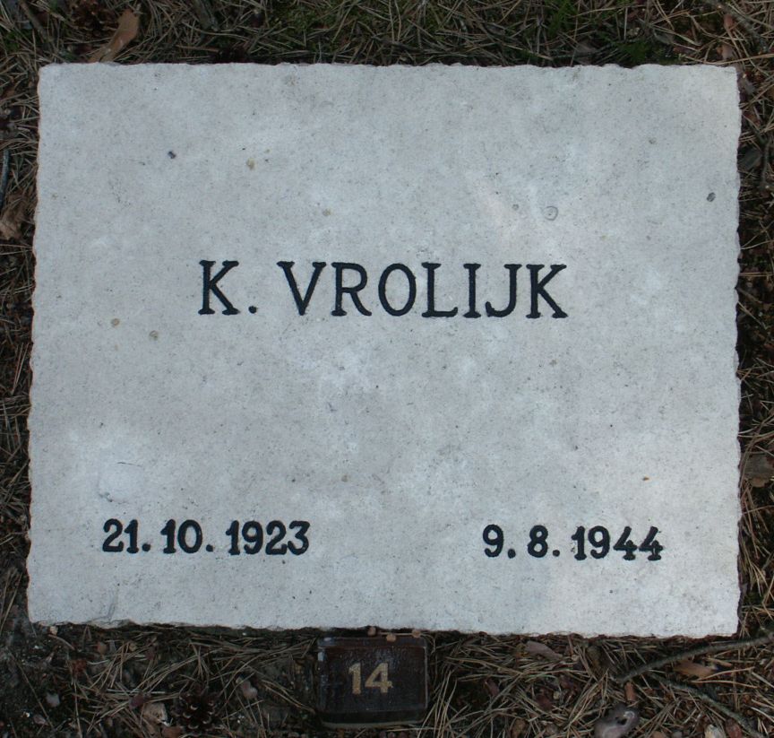 vrolijk.k.jpg