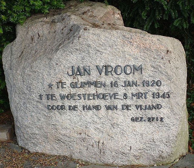 vroom.j.2008.jpg