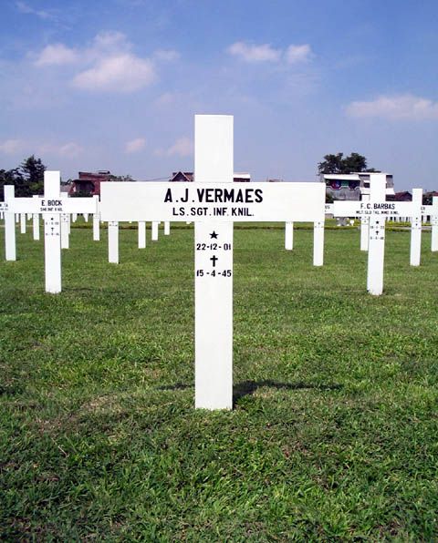vermaes.a.j.2005.jpg