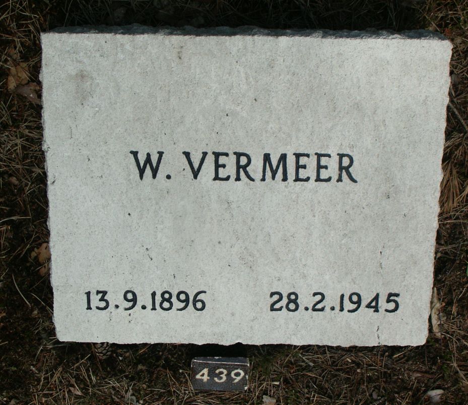 vermeer.w.jpg