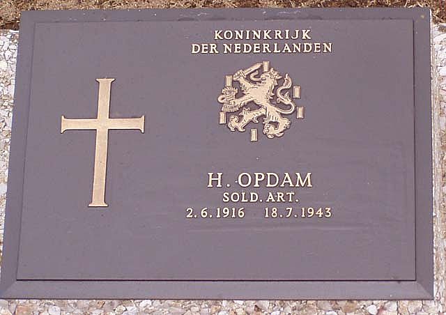 opdam.h.2006.jpg