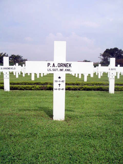 ornek.p.a.2005.jpg