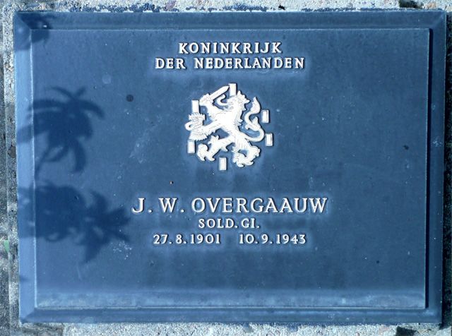 Overgaauw.J.W.2008.jpg