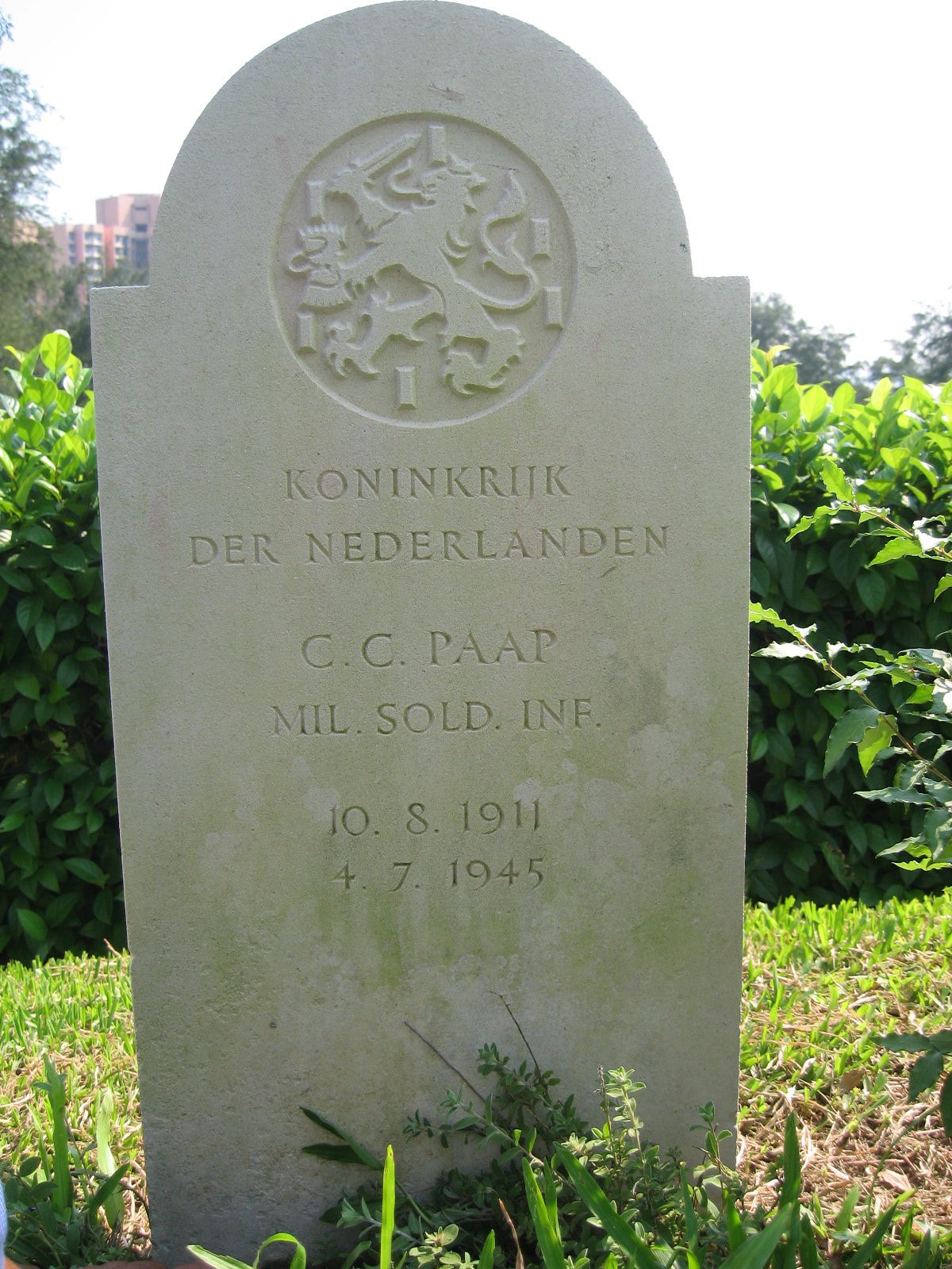 paap.c.c.2008.jpg