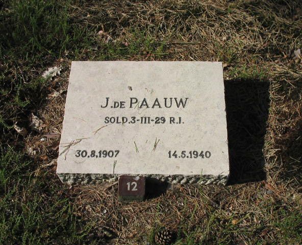 J.de Paauw.jpg