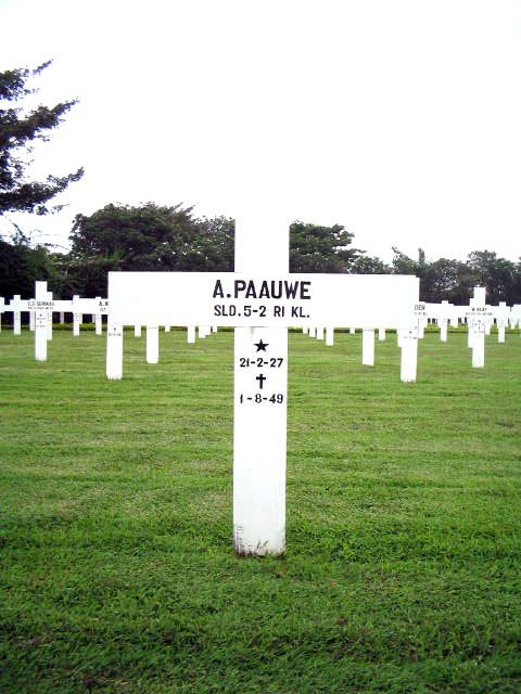 paauwe.a.2005.jpg