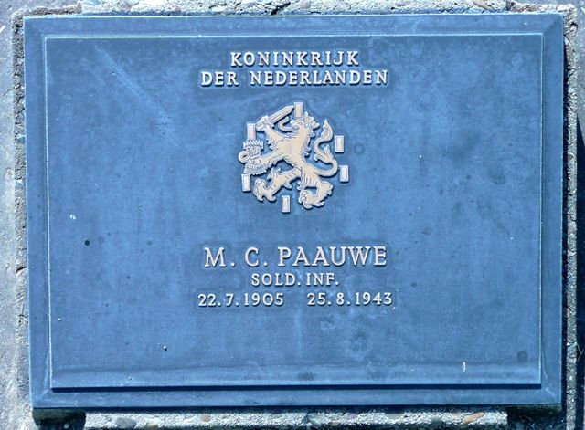 Paauwe.M.C.2008.jpg