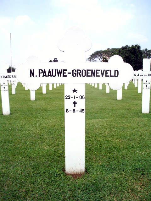 paauwe.groeneveld.n.2005.jpg