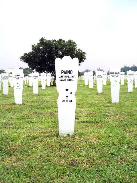 paino.2005.jpg