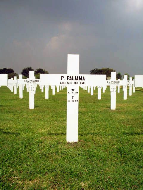 paliama.p.2005.jpg