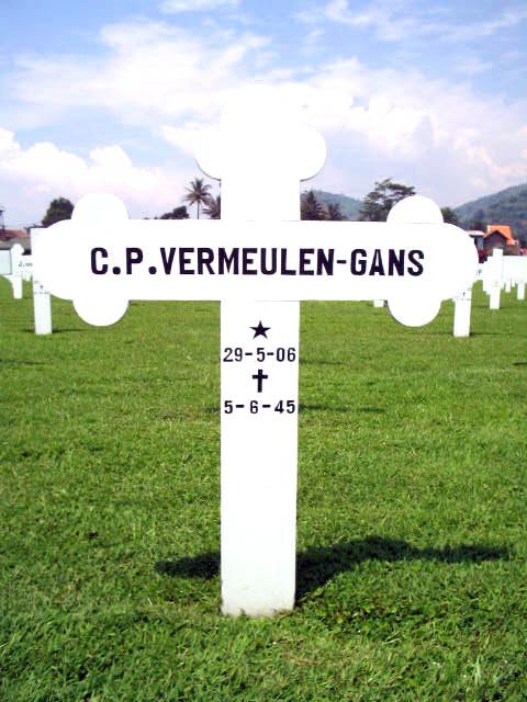 vermeulen.gans.c.p.2005.jpg
