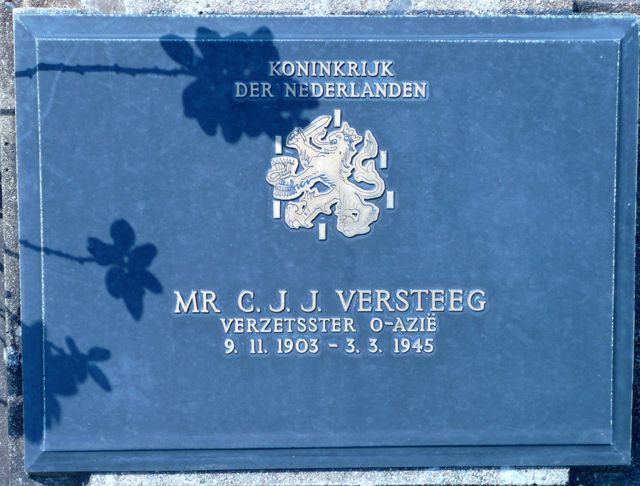 Versteeg.C.J.J.2008.jpg