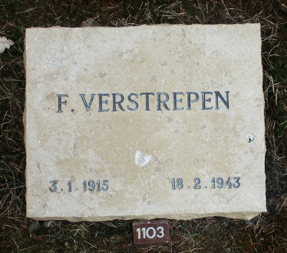 verstrepen.f.2006.jpg