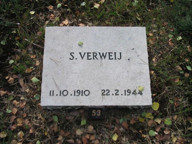 S,Verweij.jpg