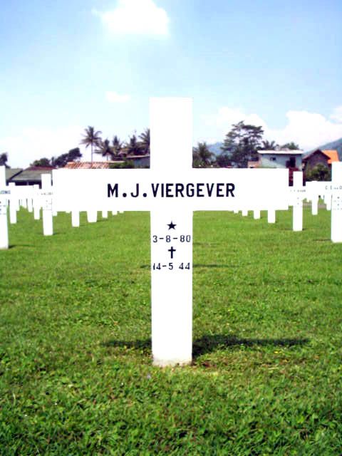 viergever.m.j.2005.jpg