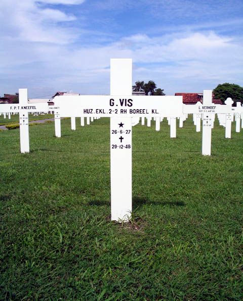 vis .g.2005.jpg