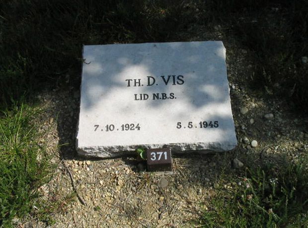 Th.D.Vis.jpg