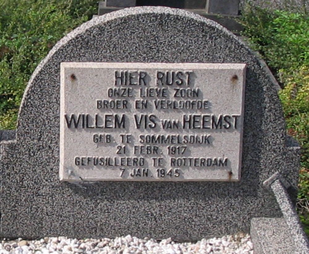 vis van heemst.w..jpg