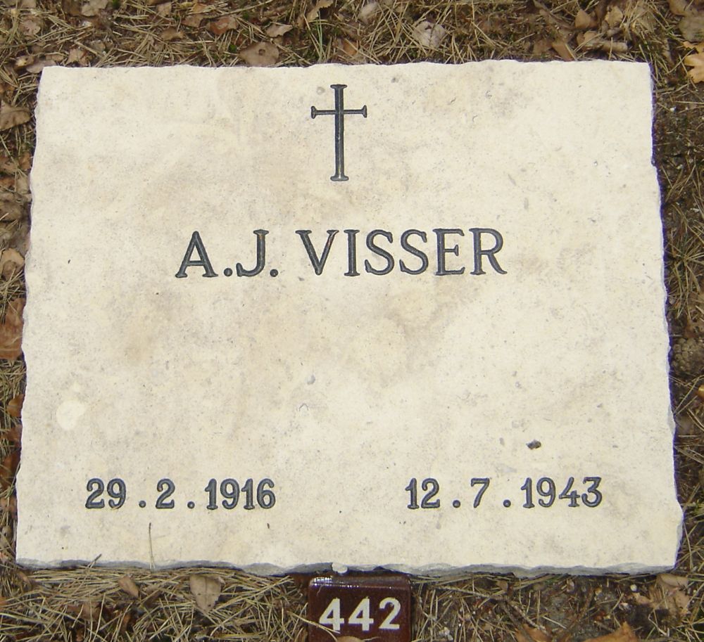 visser.a.j.2010.jpg