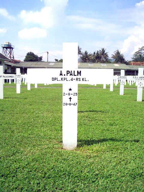 palm.a.2005.jpg