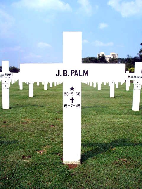 palm.j.b.2005.jpg