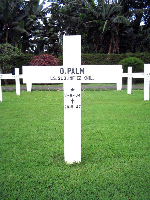 palm.o.2005.jpg