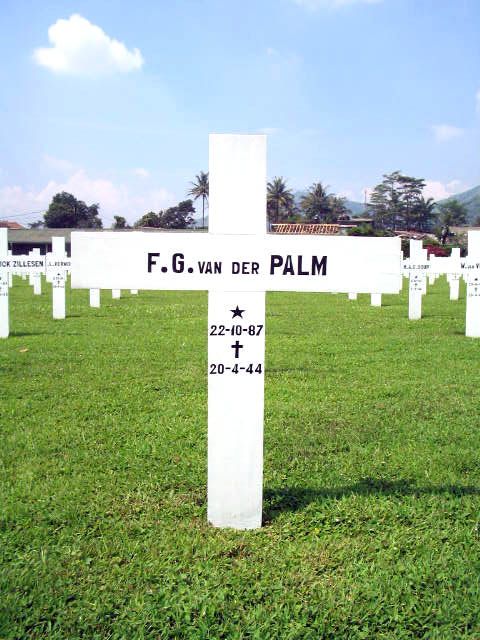 palm.v.der.f.g.2005.jpg