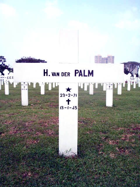 palm.v.der.h.2005.jpg