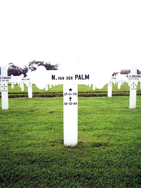 palm.v.der.n.2005.jpg