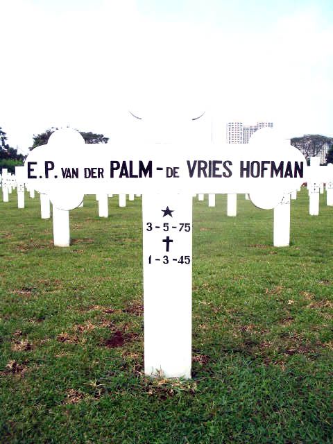 palm.v.der.vries hofman.de.e.p.2005.jpg