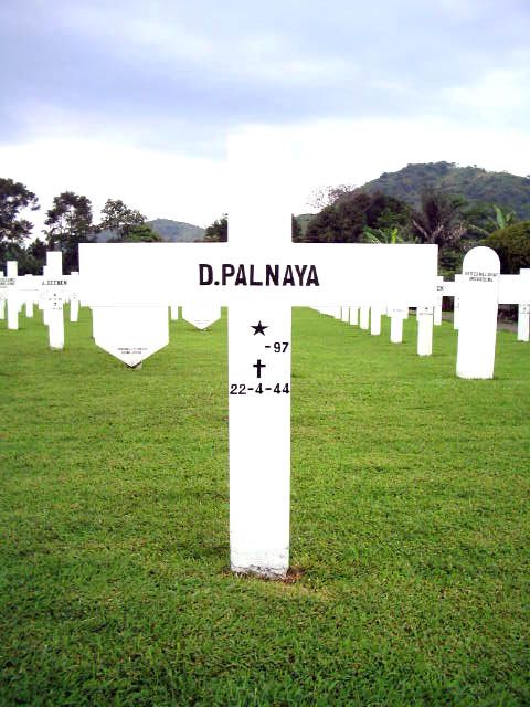 palnaya.d.2005.jpg