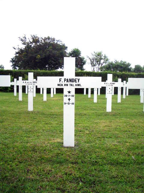 pandey.f.2005.jpg